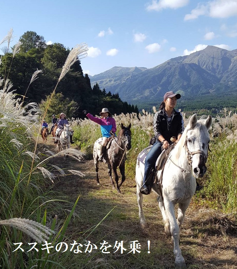 阿蘇高森町の乗馬クラブ ブルーグラス 乗馬料金 会員制 会費 税別 阿蘇高森の乗馬クラブ ブルーグラス