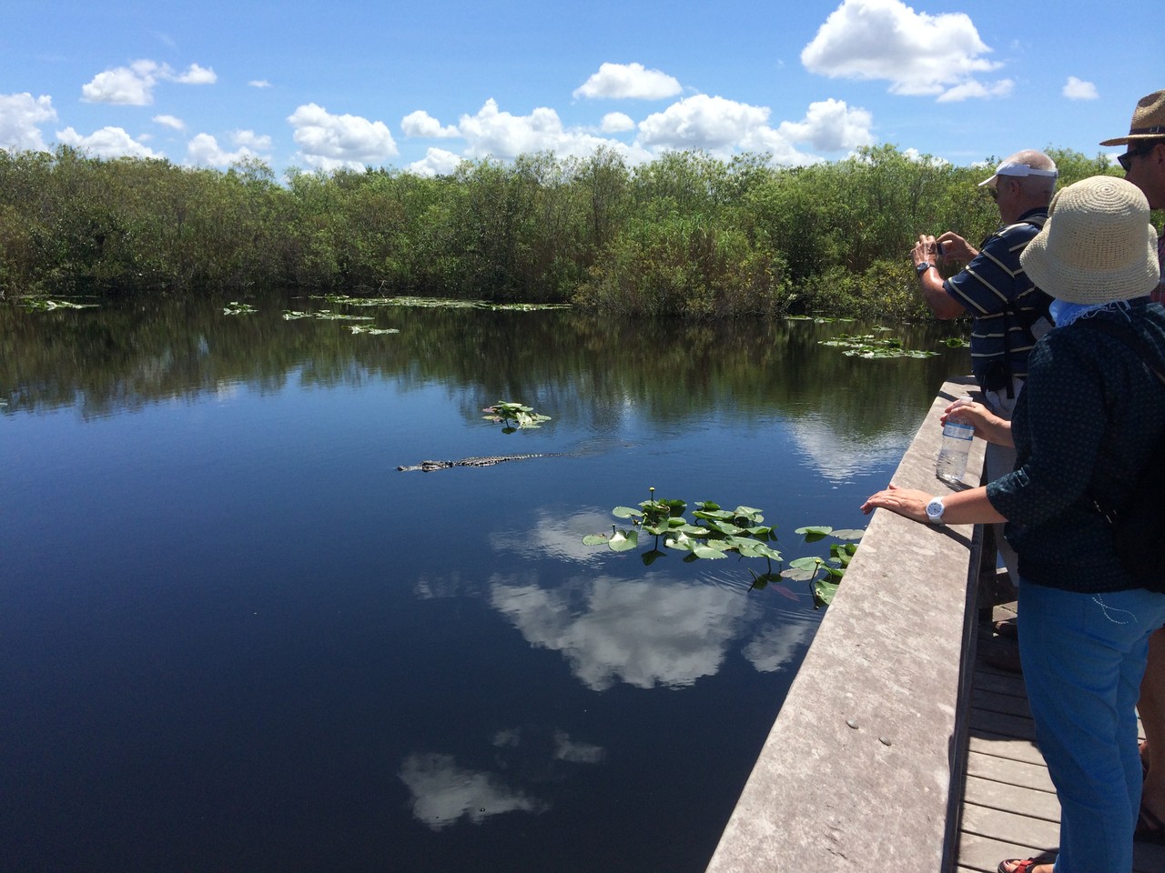 Our Tours Deutsche Touren Everglades