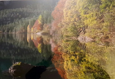 Gianluca Pollini "Lago di Tovel"  foto 60x40 donazione base € 150