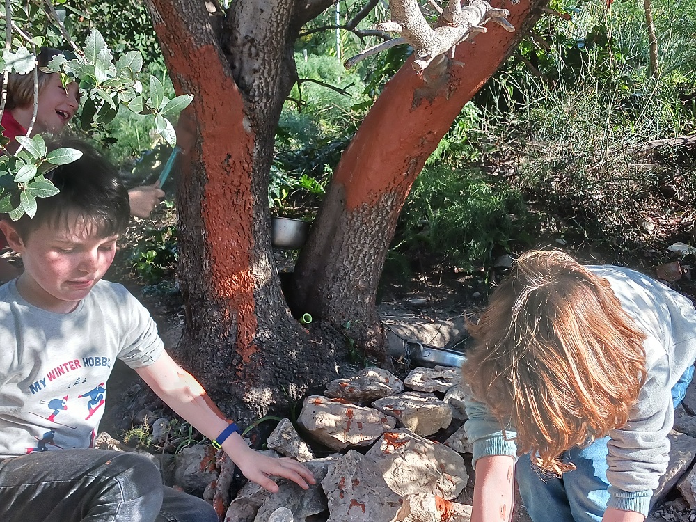 Atelier badigeon des arbres du Bancaù
