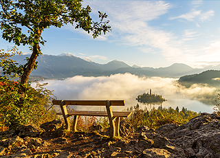 Tiefe Entspannung durch Hypnosecoaching in Bonn oder Outdoorcoaching im Siebengebirge, wie im Traum träumen, Tagtraum wie eine erholsame Reise, leichte Trance  