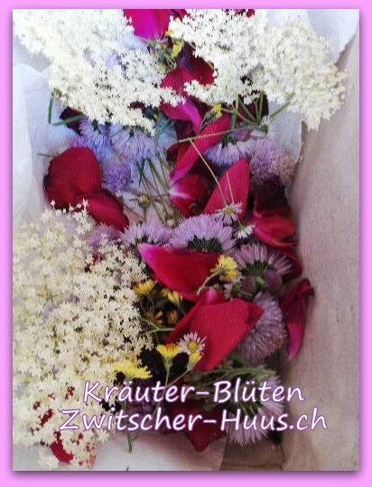 Blüten für Sittiche