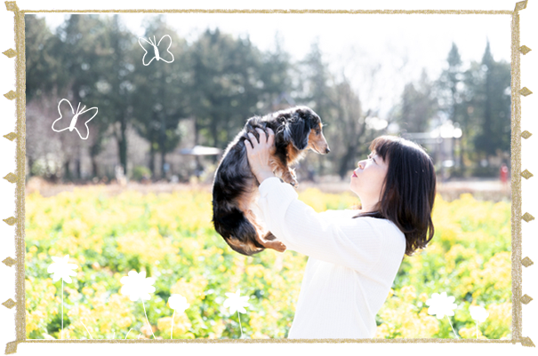 公式サイト - 八王子 ペットシッター アカマツ