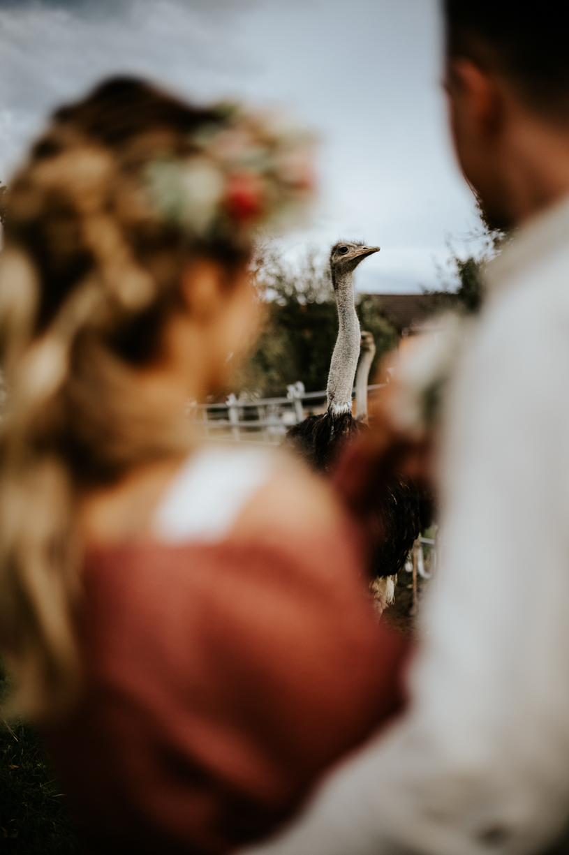 Hochzeitsfotograf schweiz st.gallen thurgau toggenburg zürich lichtenstein ostschweiz Hochzeit Fotograf Berghochzeit Hochzeitsreportage Boho Vintage genuin fotografie Waldhochzeit bohohochzeit bohemian inspiration