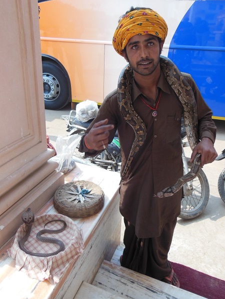 2013 This Snake Charmer in Agra patiently posed for our Photos