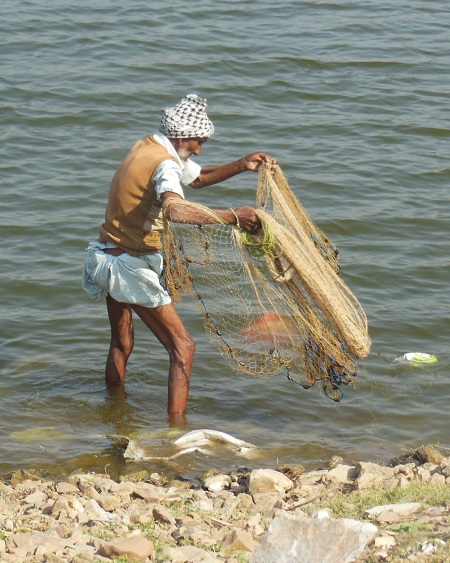 2013 A Fisherman casting nets at a lake in Jaipur