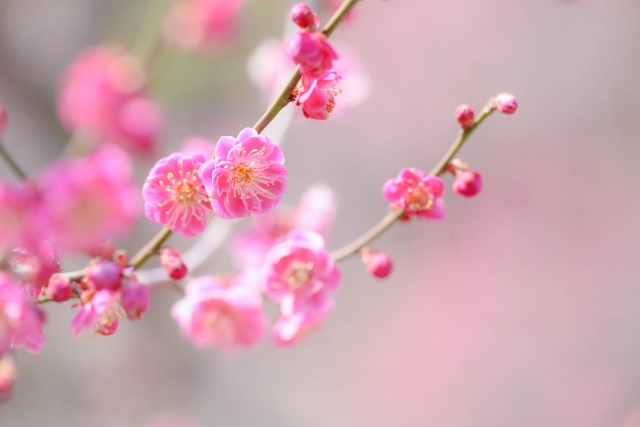 痛いお正月