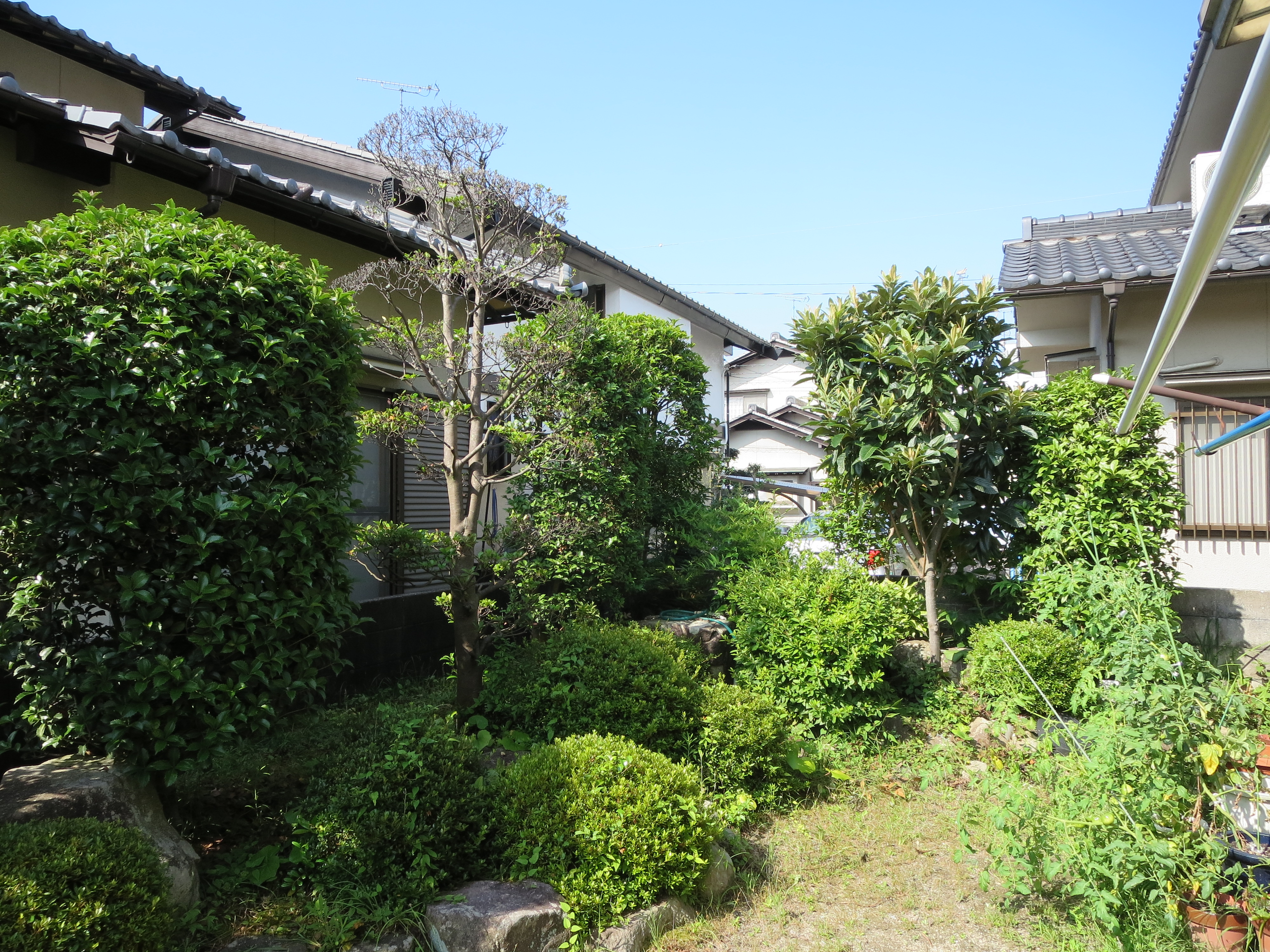 おにわ解体やは便利。庭の解体撤去/庭木・庭石の解体撤去はもちろん