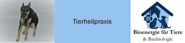 Tierheilpraxis Bioenergie für Tiere