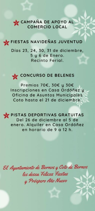 Programa de la Navidad en Bornos