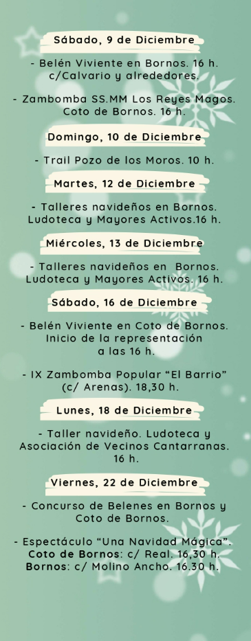 Programa de la Navidad en Bornos