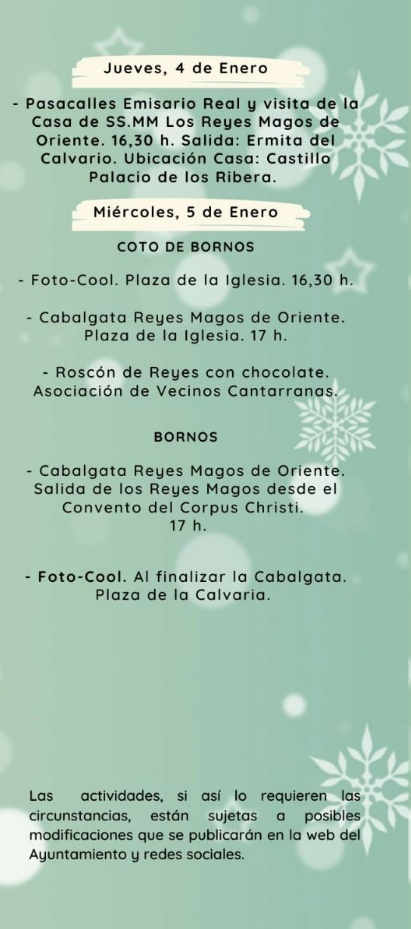 Programa de la Navidad en Bornos