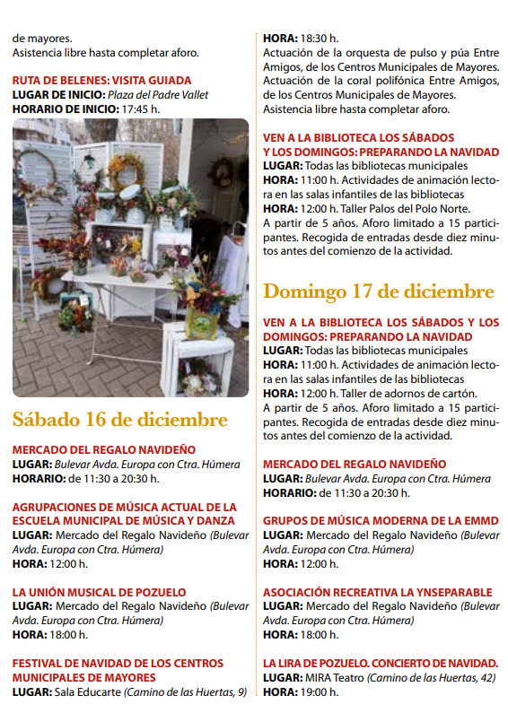 Programa de la Navidad en Pozuelo de Alarcon