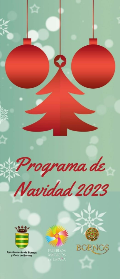 Programa de Navidad