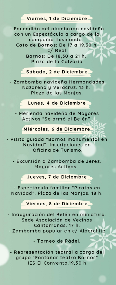 Programa de la Navidad en Bornos