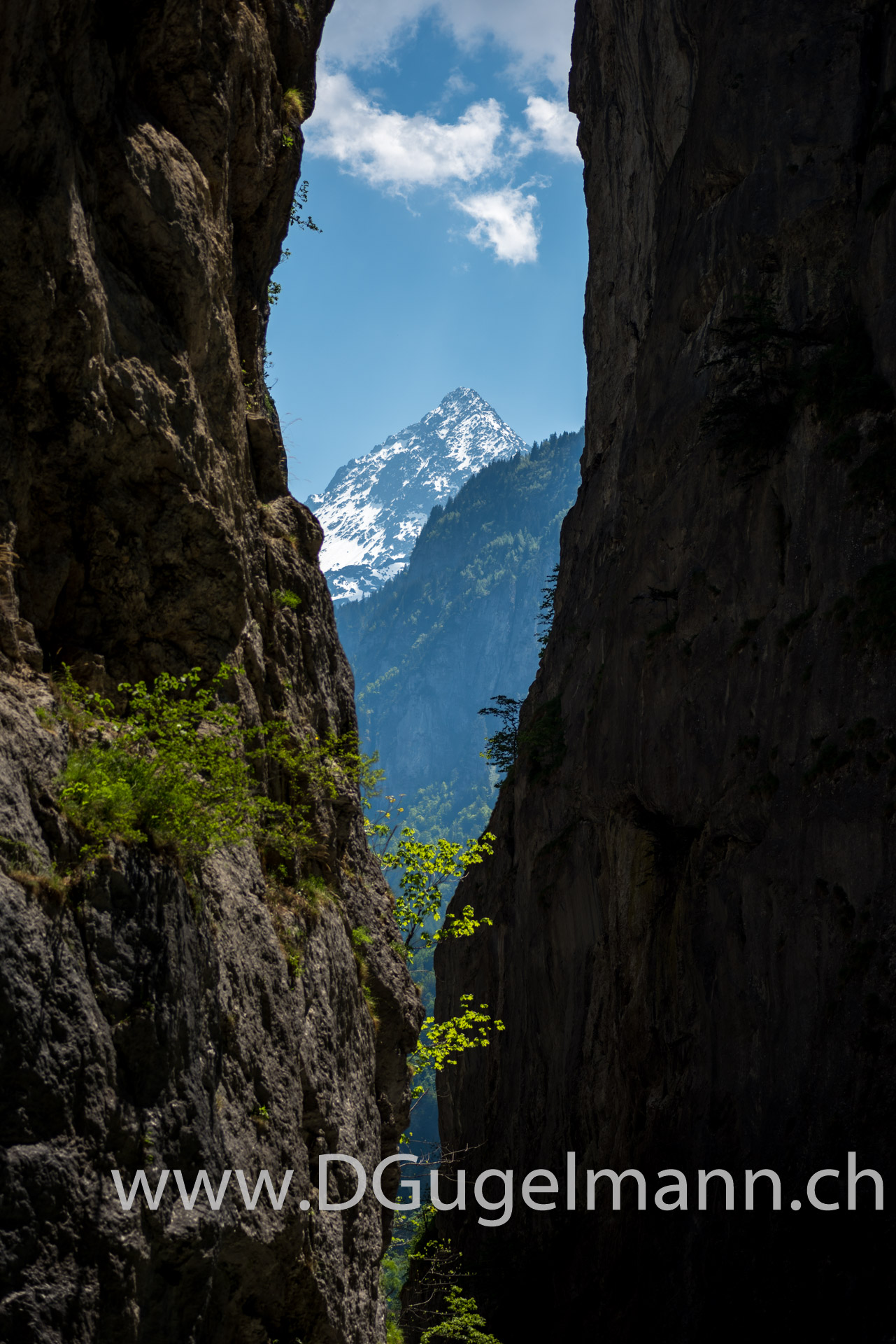Aareschlucht