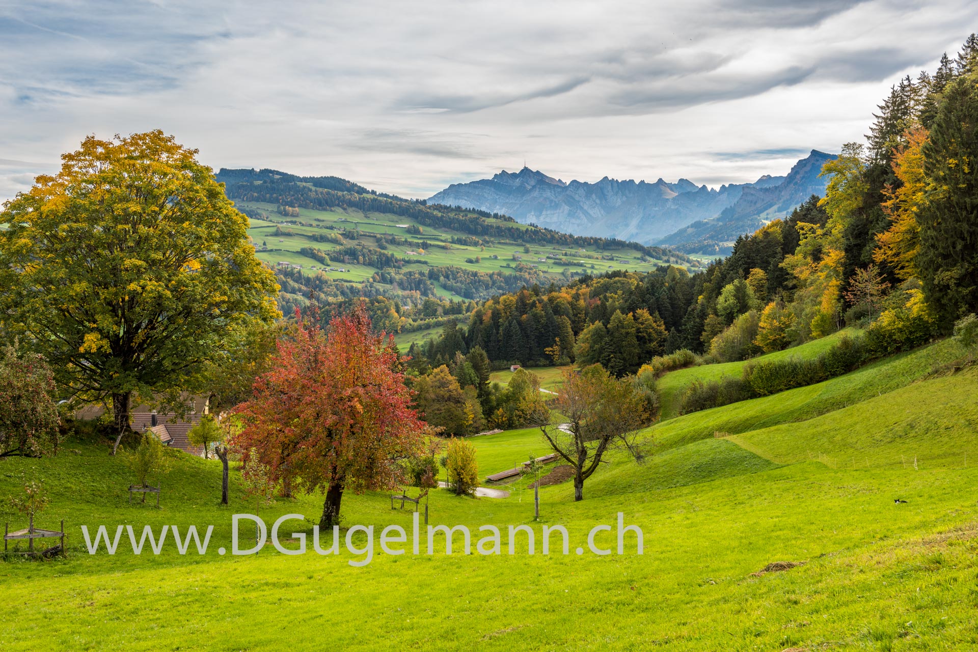 Herbst im Appenzell