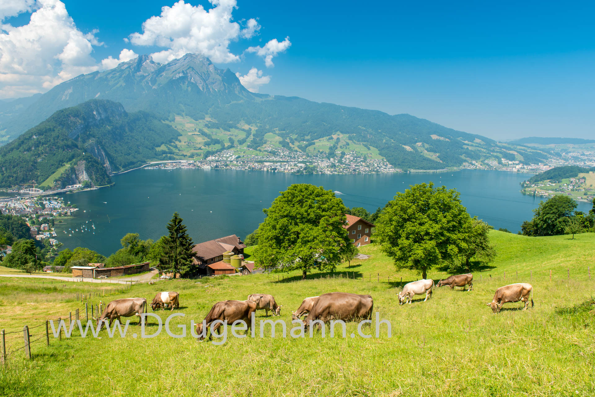 Pilatus mit Vierwaldstättersee