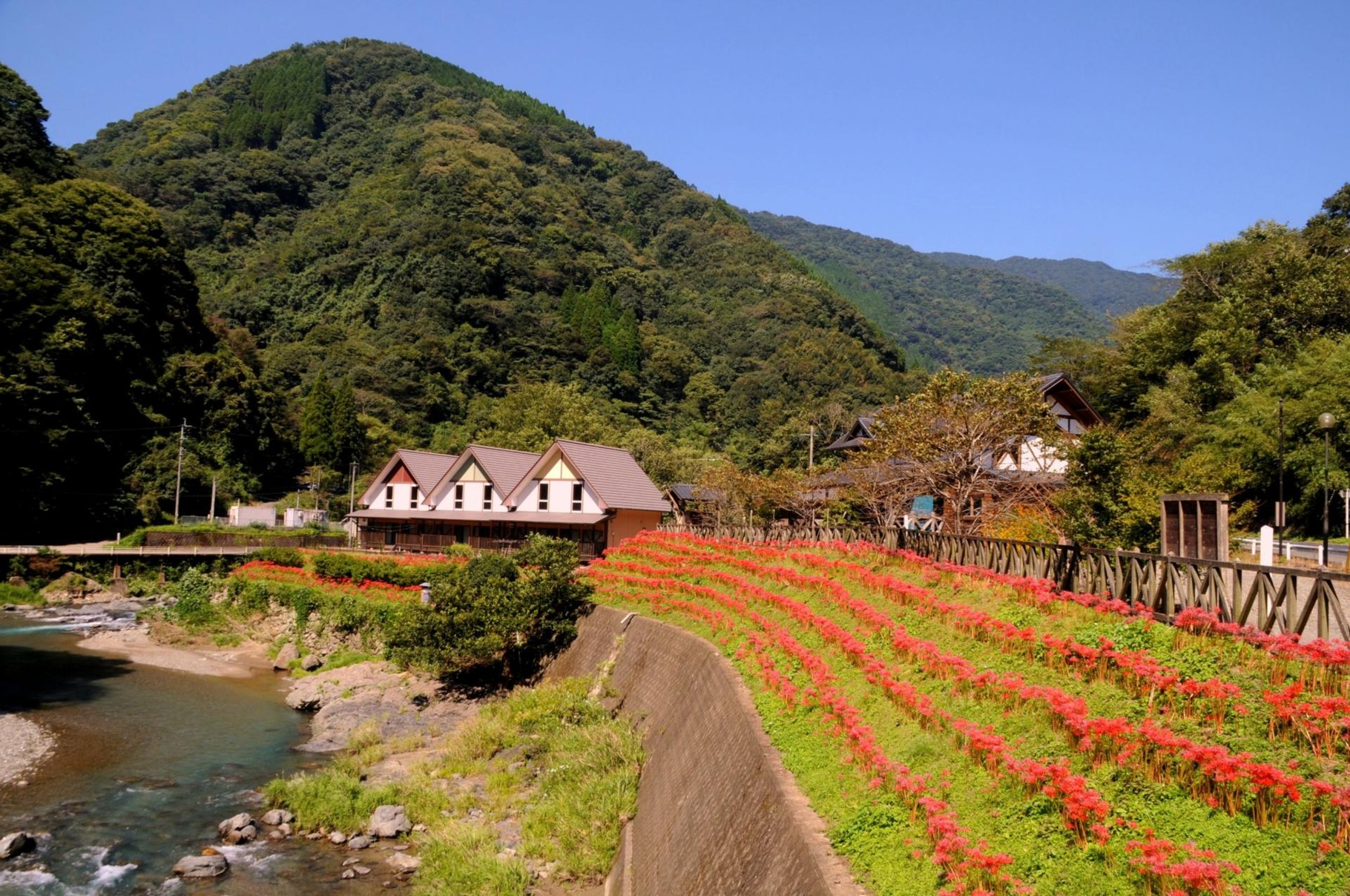 山江村地域づくり研究所 山江村地域づくり研究所