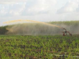 © Gunkel. Vinasse of sugar cane industry used for irrigation in sugar cane plants