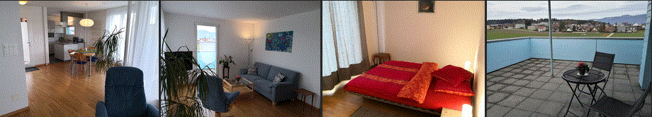 Möblierte Wohnung mieten Solothurn - Partner von Immobilie-Solothurn.ch werden? Klick