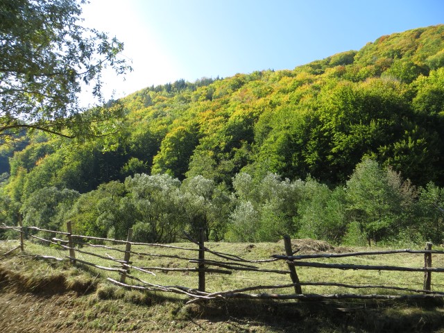 Tata Luanei/Region Buzau (Walachei)