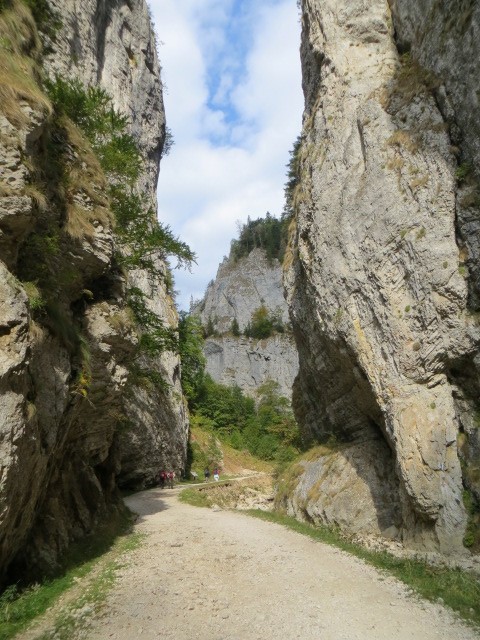 Schlucht im Königstein (Piatra Craiului)