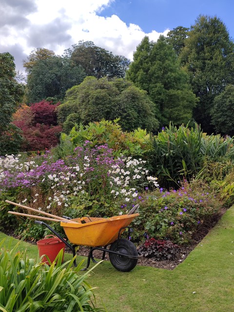 Herbstzauber im Lanhydrock Garden