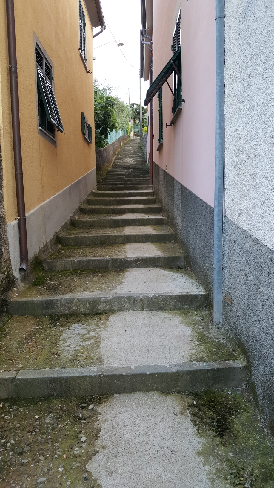 und noch ein paar..... 