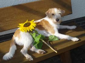 Oktober 2008