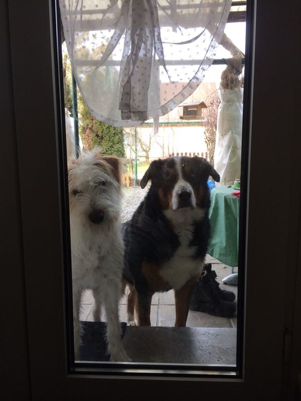 Edison und sein großer Freund "Onkel Paulu",...
