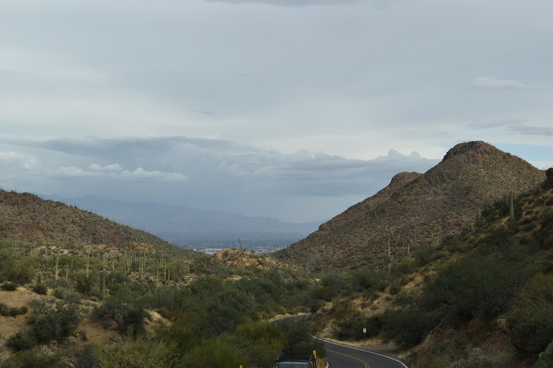Blick zurück nach Tucson