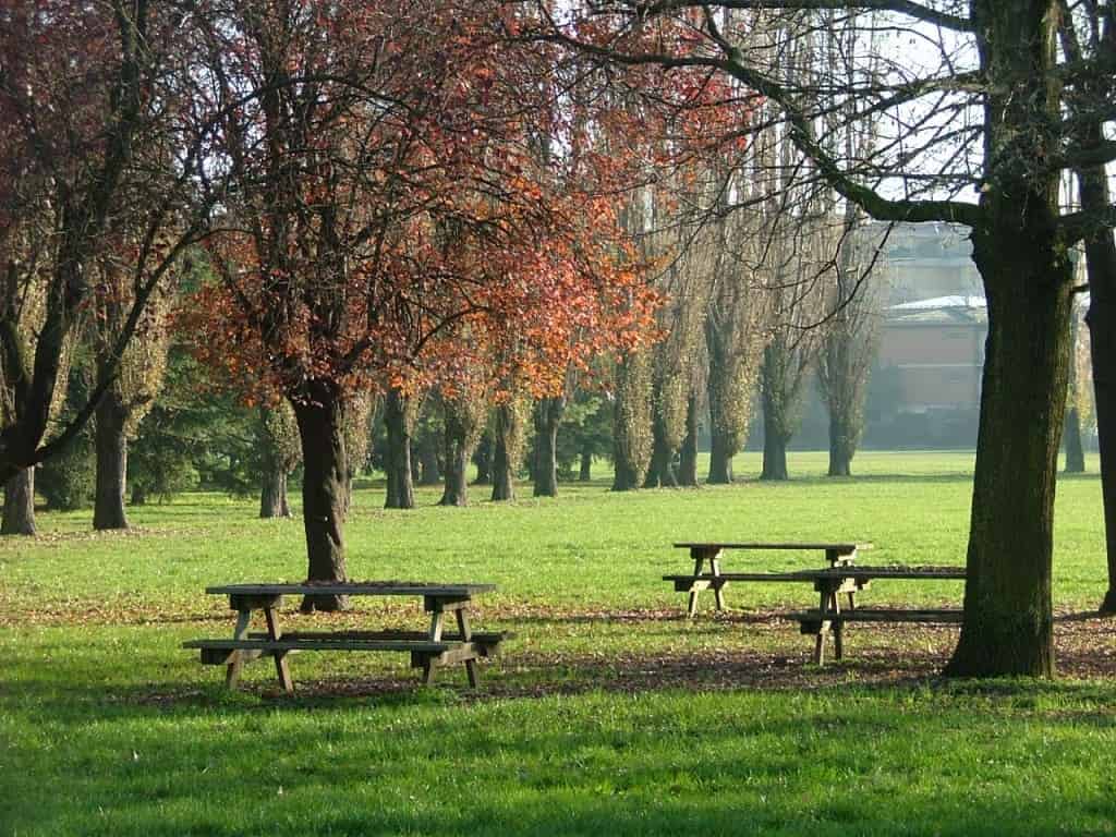 Parco della Memoria: un'iniziativa per le vittime amianto