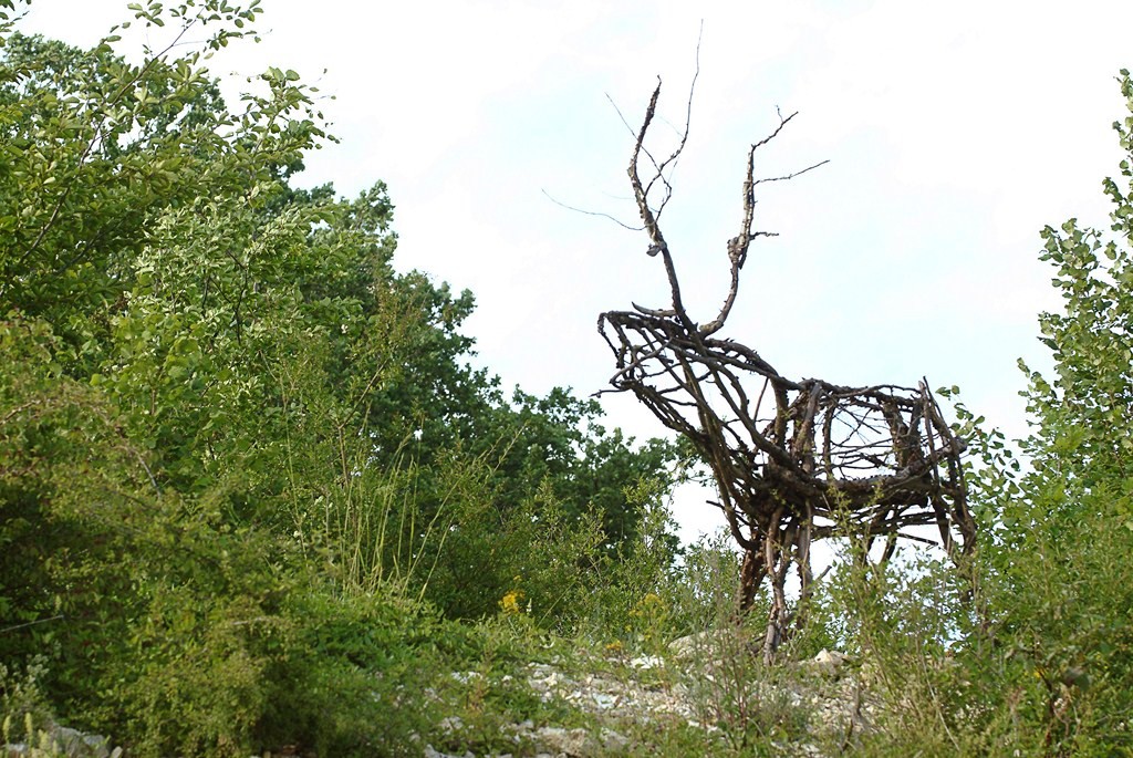 Visite - Le vent des forêts - Michel Petit