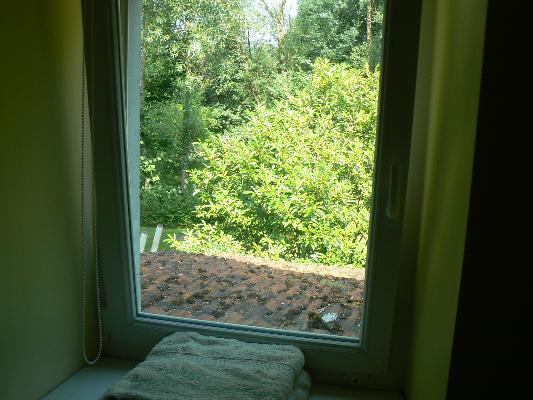 Vue sur le jardin de la maison de l'étang