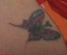 Schmetterling - Tattoo