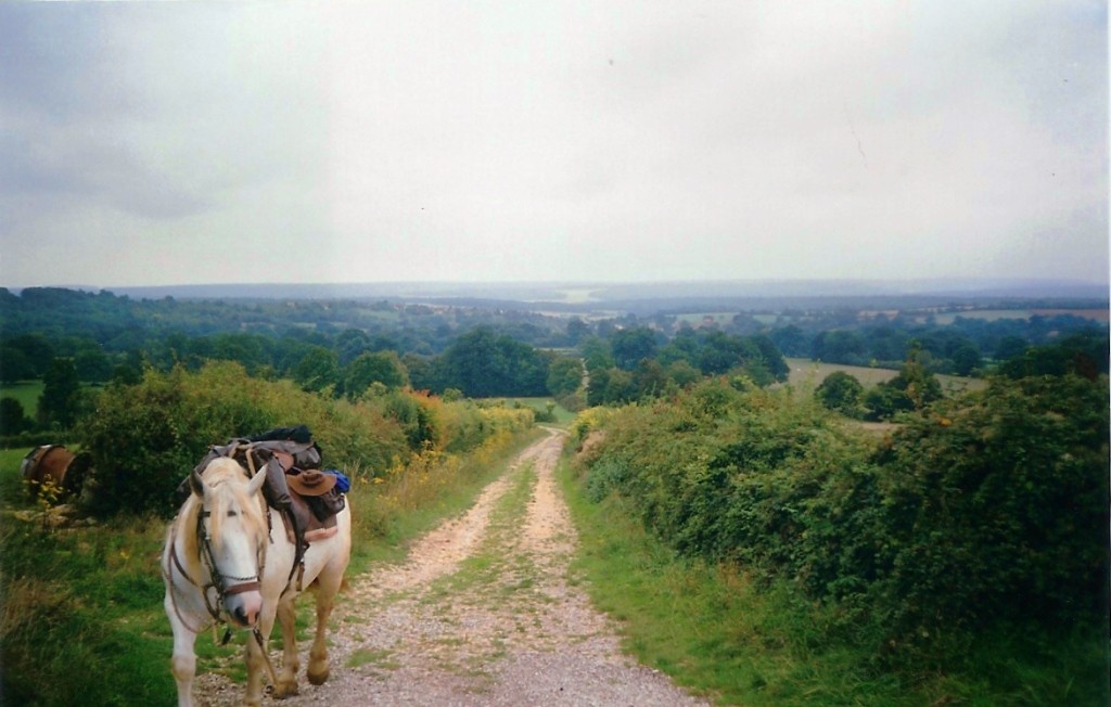 Le bocage de la vallée du Beuvron