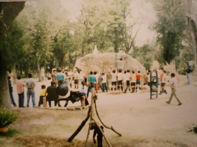 PARTICIPACION CIUDADANA