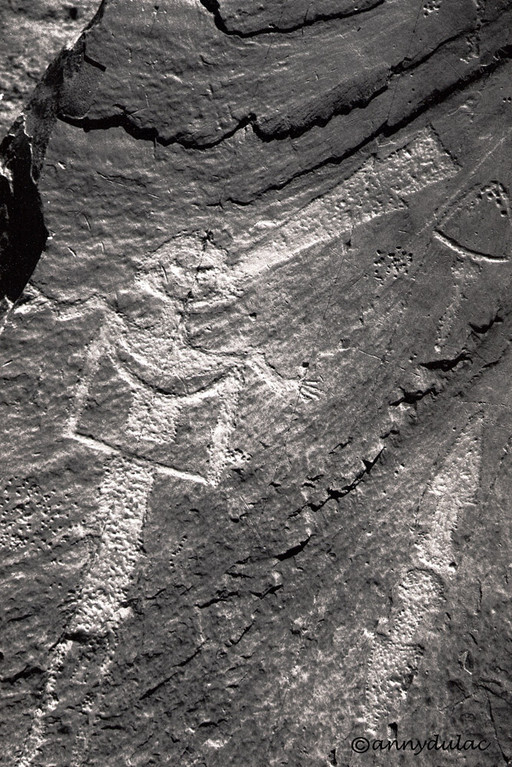 Gravures rupestres , vallées  des Merveilles, France 1988