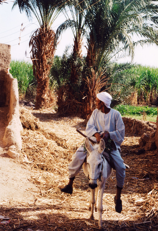 Ile Elephantine, Egypte 1996