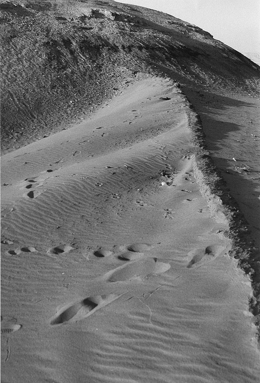 Oasis de Dakhla, Egypte 1996