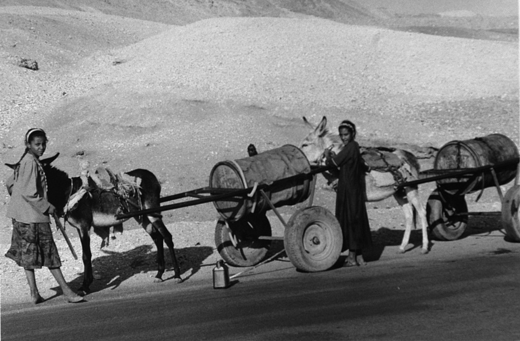 Transport de l'eau, vallée thébaine, Egypte 1996