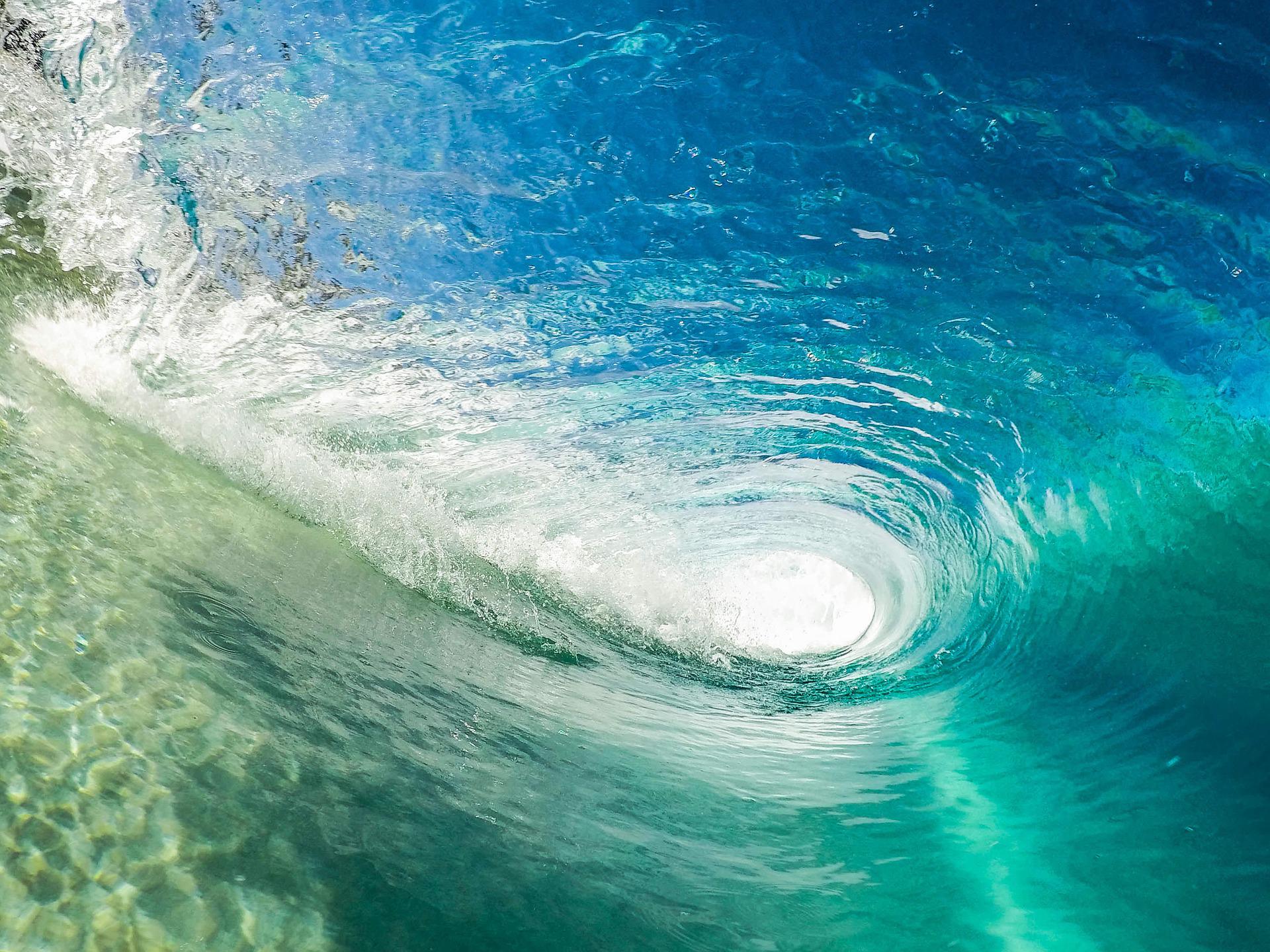 Lebendiges Wasser für Deinen Pool