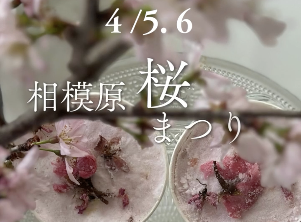 桜のアロマワークショップ