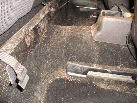 Reinigen autointerieur en autobekleding - A1 Car Cleaning Bunschoten Reinigen autointerieur en autobekleding - A1 Car Cleaning Bunschoten