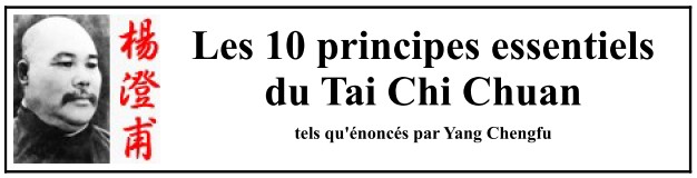 Les 10 principes du TaiJi