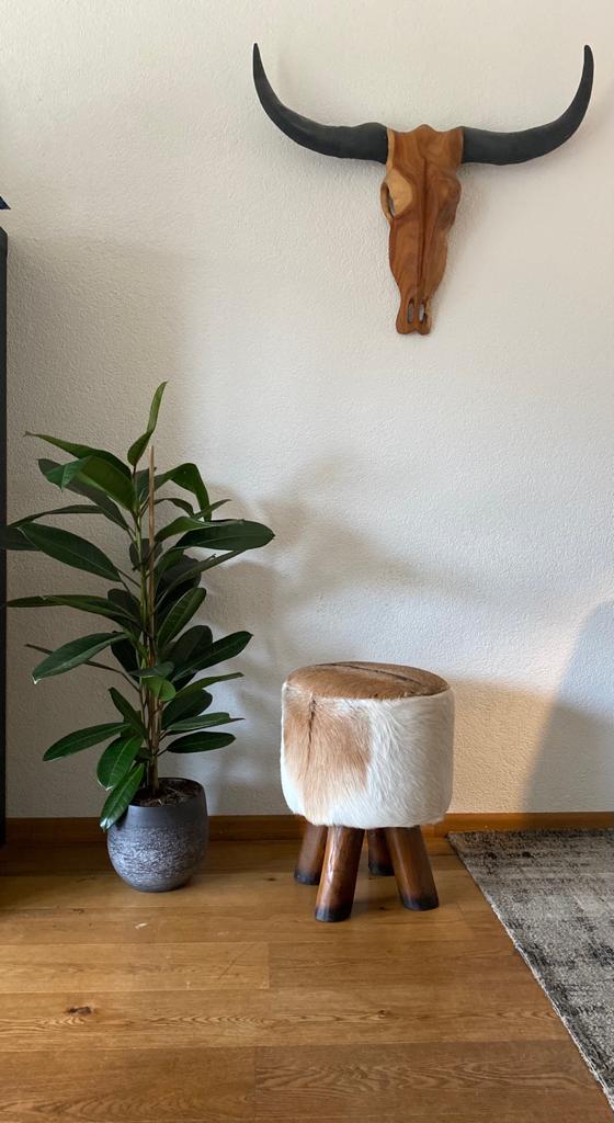 fleurige thuis met hippe kamerplanten - Plant Rebelz
