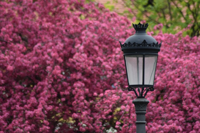 Handige tips over tuinverlichting op zonne-energie