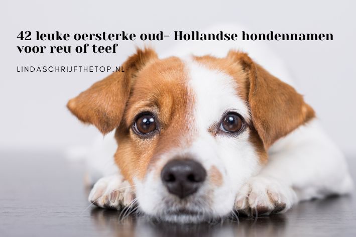 Leuke oersterke oud- Hollandse hondennamen voor reu of teef