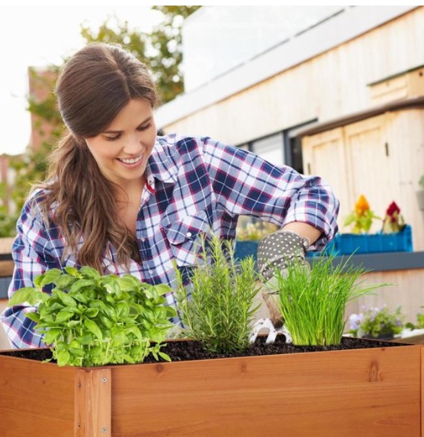 Moestuin aanleggen? 6 benodigdheden om te beginnen